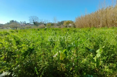Terreno para Venda em Monte Real e Carvide