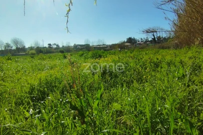 Terreno para Venda em Monte Real e Carvide