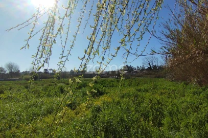 Terreno para Venda em Monte Real e Carvide