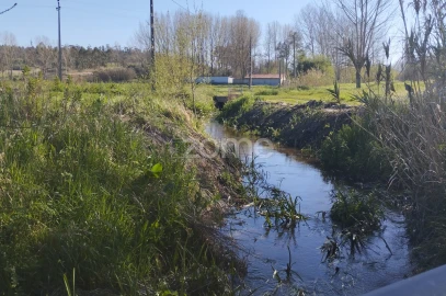 Terreno para Venda em Monte Real e Carvide