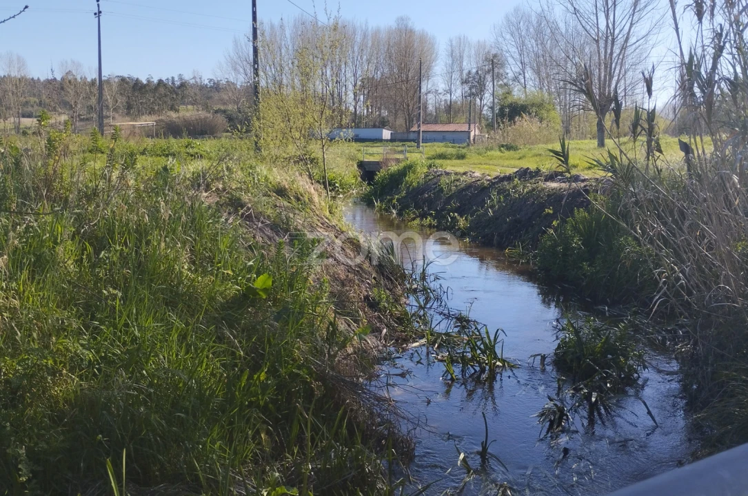 Terreno para Venda em Monte Real e Carvide Foto 11