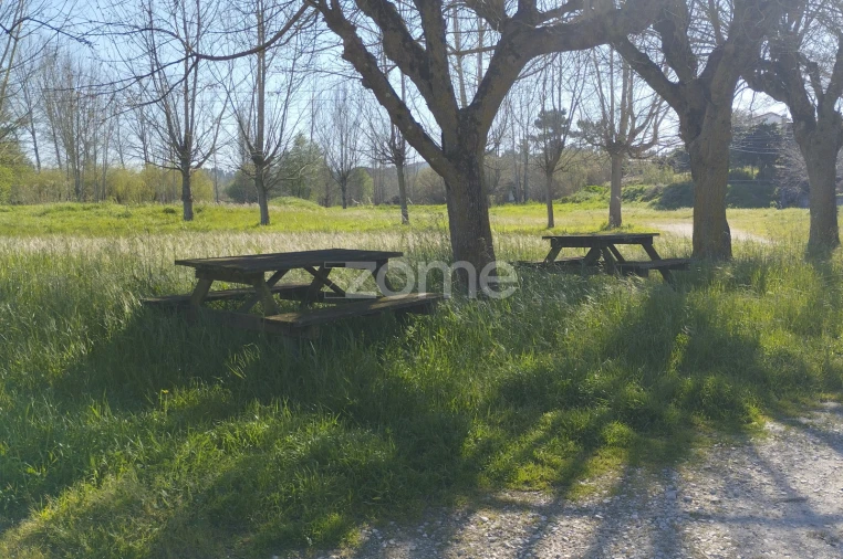 Terreno para Venda em Monte Real e Carvide Foto 2