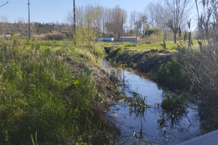 Terreno para Venda em Monte Real e Carvide Foto 11