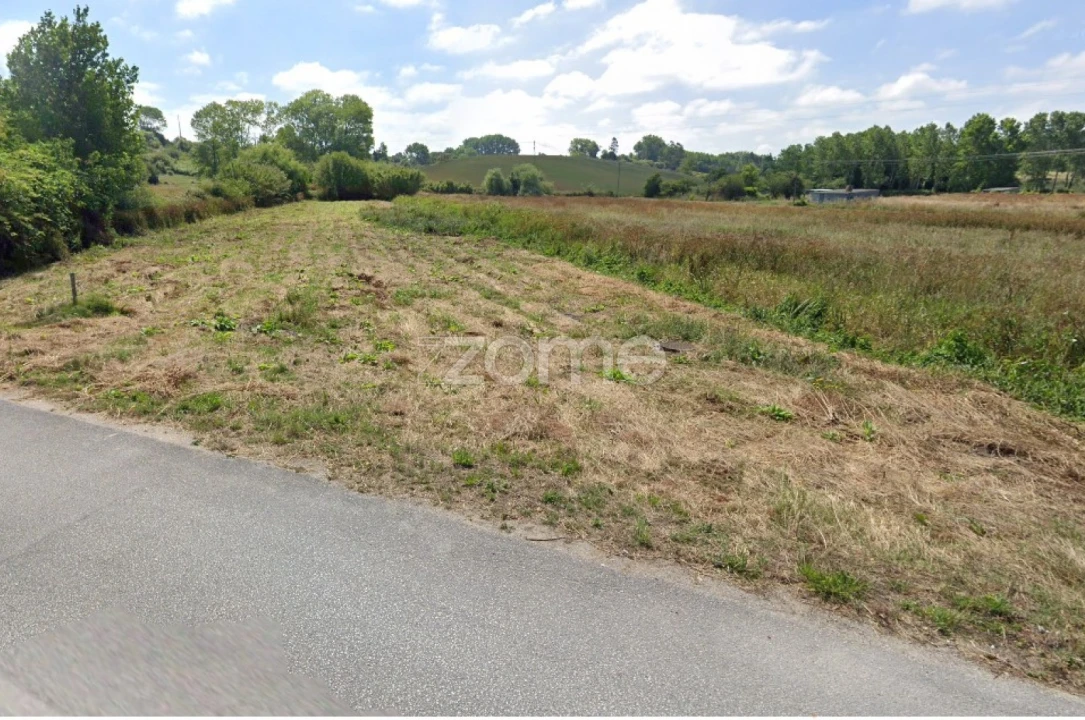Terreno para Venda em Monte Real e Carvide Foto 12
