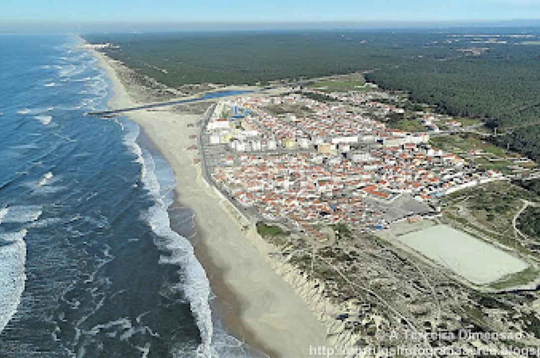 Terreno para Venda em Monte Real e Carvide Foto 17