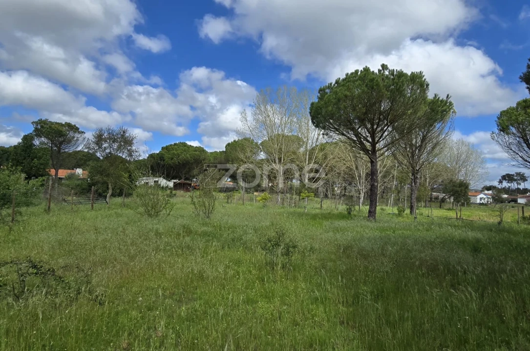Quinta T4 para Venda em Grândola e Santa Margarida da Serra Foto 38
