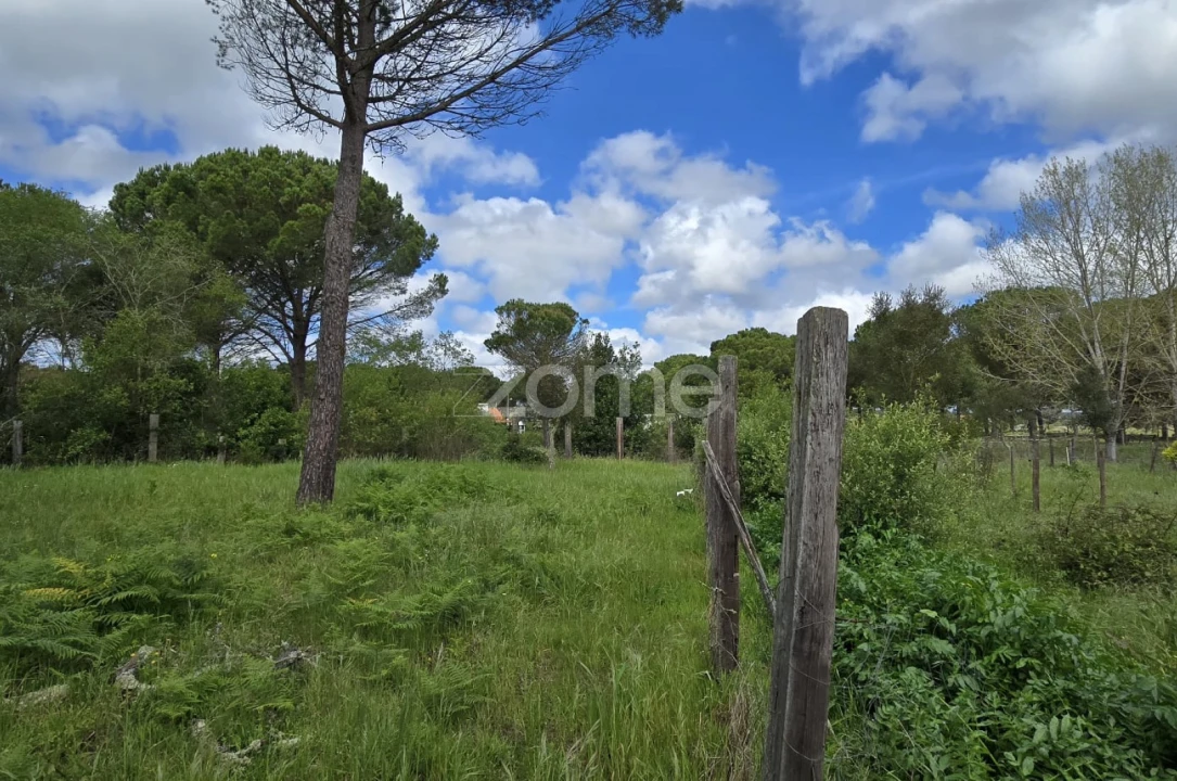 Quinta T4 para Venda em Grândola e Santa Margarida da Serra Foto 35