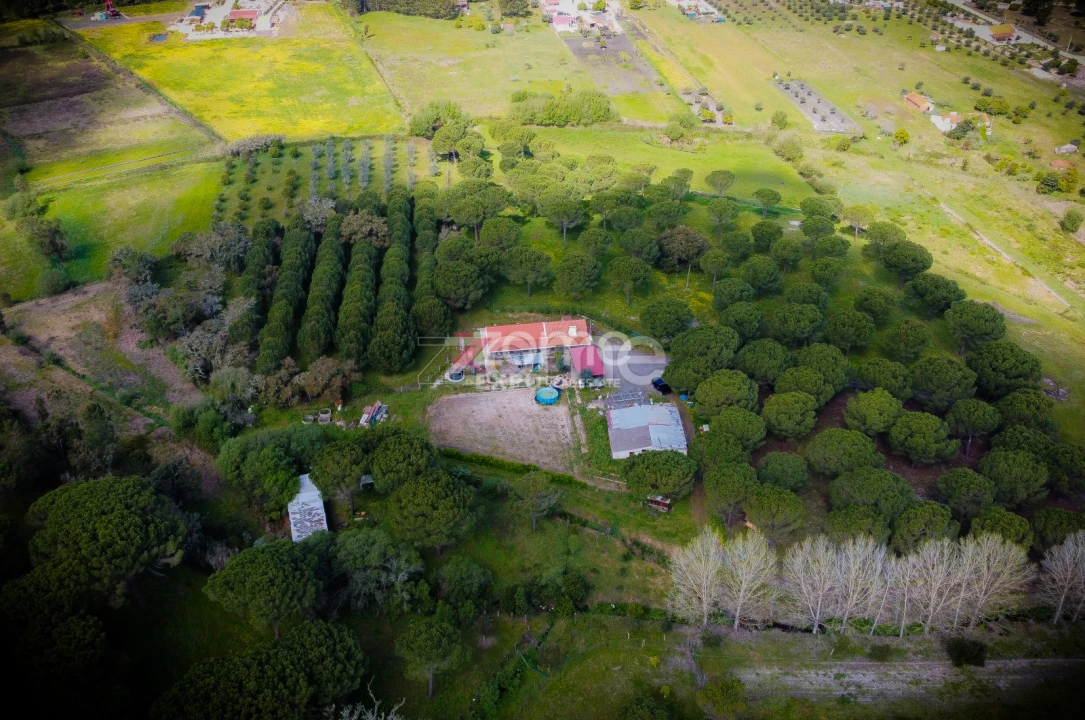 Quinta T4 para Venda em Grândola e Santa Margarida da Serra Foto 45