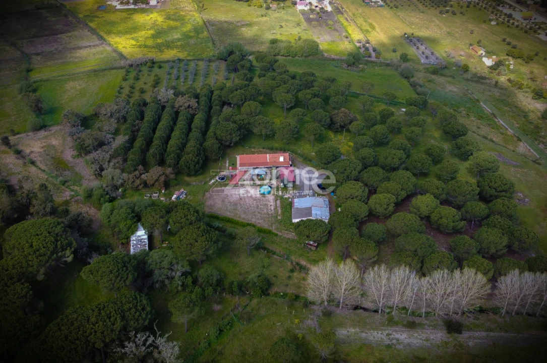 Quinta T4 para Venda em Grândola e Santa Margarida da Serra Foto 50
