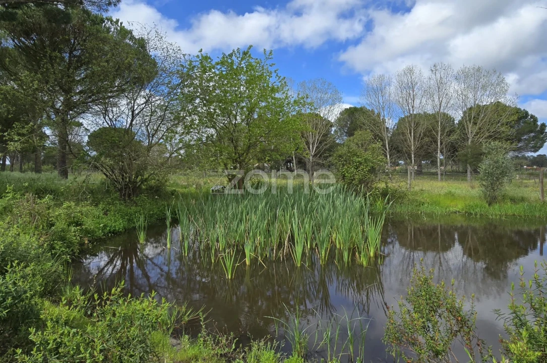 Quinta T4 para Venda em Grândola e Santa Margarida da Serra Foto 40