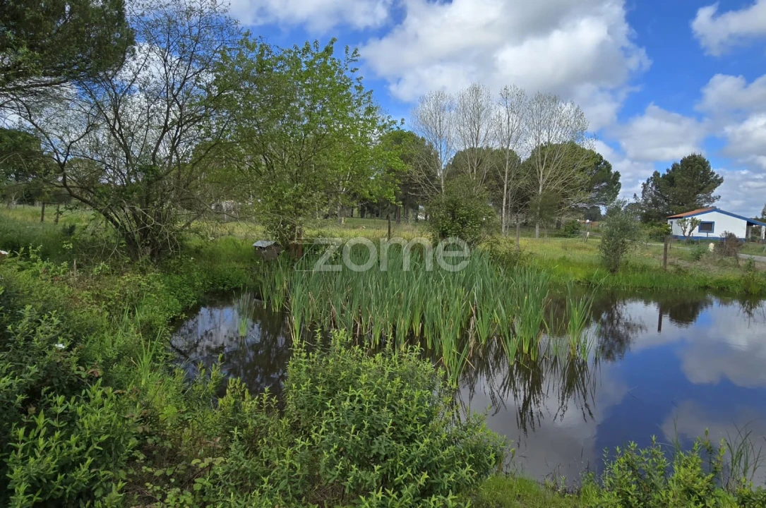 Quinta T4 para Venda em Grândola e Santa Margarida da Serra Foto 39