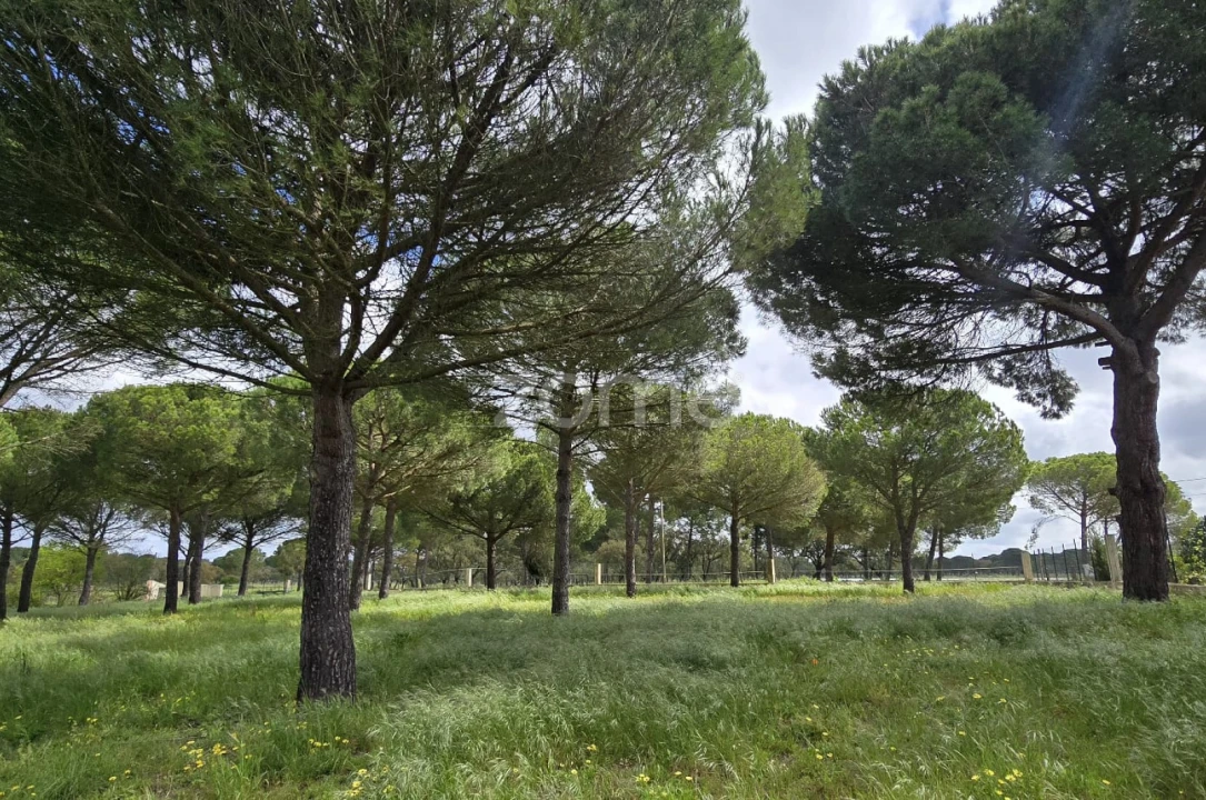 Quinta T4 para Venda em Grândola e Santa Margarida da Serra Foto 36