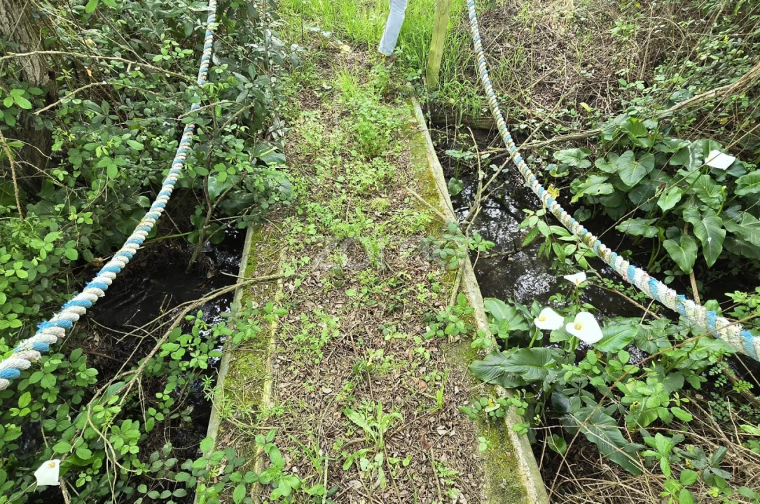 Quinta T4 para Venda em Grândola e Santa Margarida da Serra Foto 34