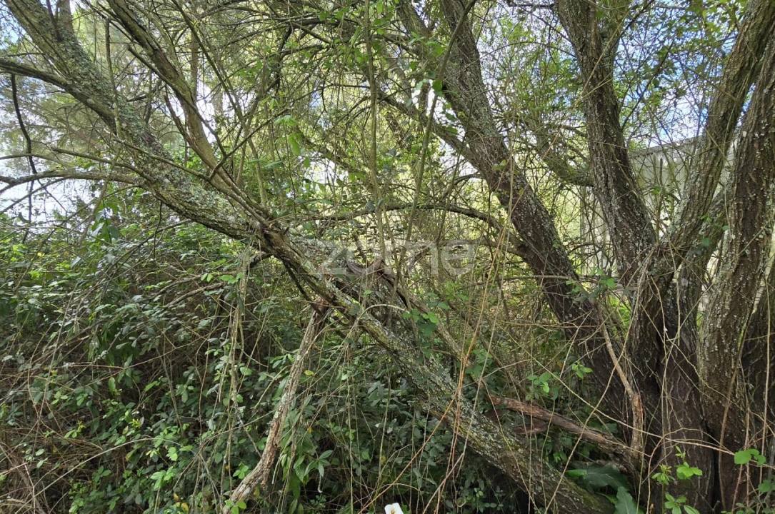 Quinta T4 para Venda em Grândola e Santa Margarida da Serra Foto 32