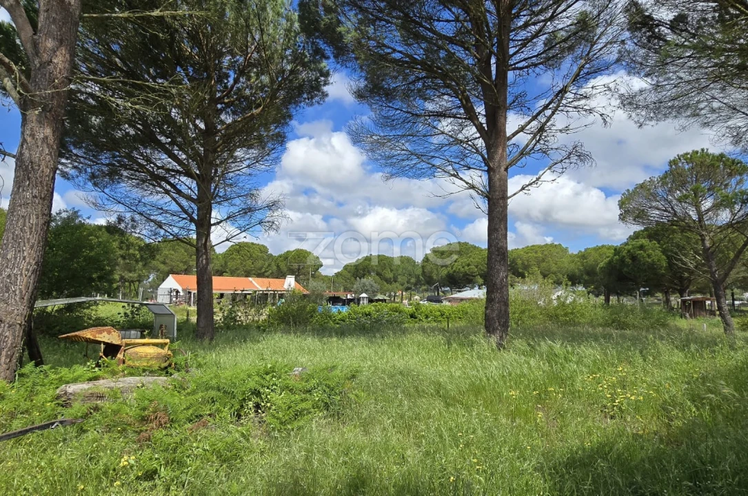 Quinta T4 para Venda em Grândola e Santa Margarida da Serra Foto 44