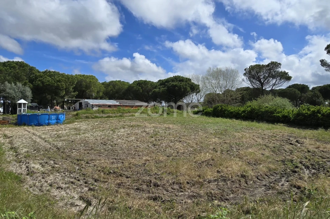 Quinta T4 para Venda em Grândola e Santa Margarida da Serra Foto 29