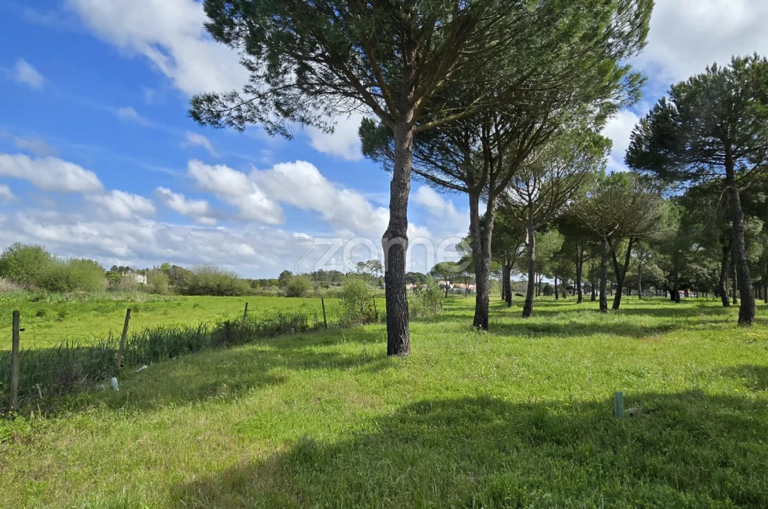 Quinta T4 para Venda em Grândola e Santa Margarida da Serra Foto 28