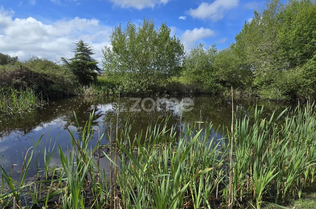 Quinta T4 para Venda em Grândola e Santa Margarida da Serra Foto 1