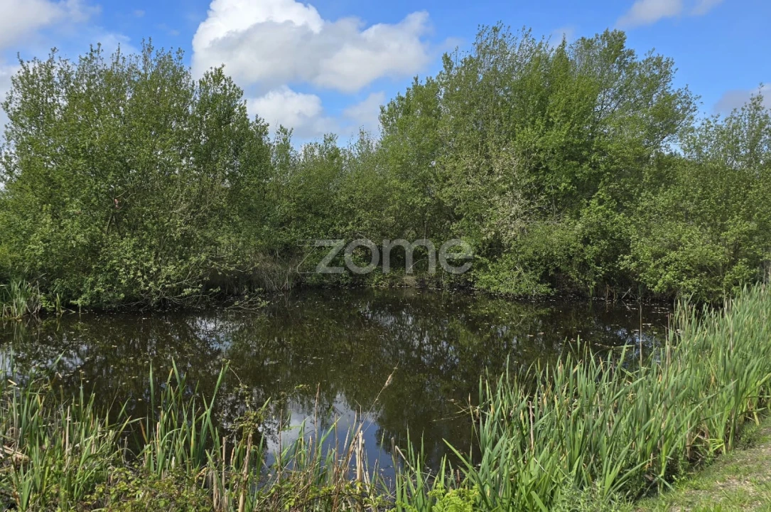 Quinta T4 para Venda em Grândola e Santa Margarida da Serra Foto 26