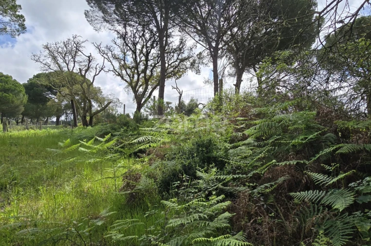 Quinta T4 para Venda em Grândola e Santa Margarida da Serra Foto 33