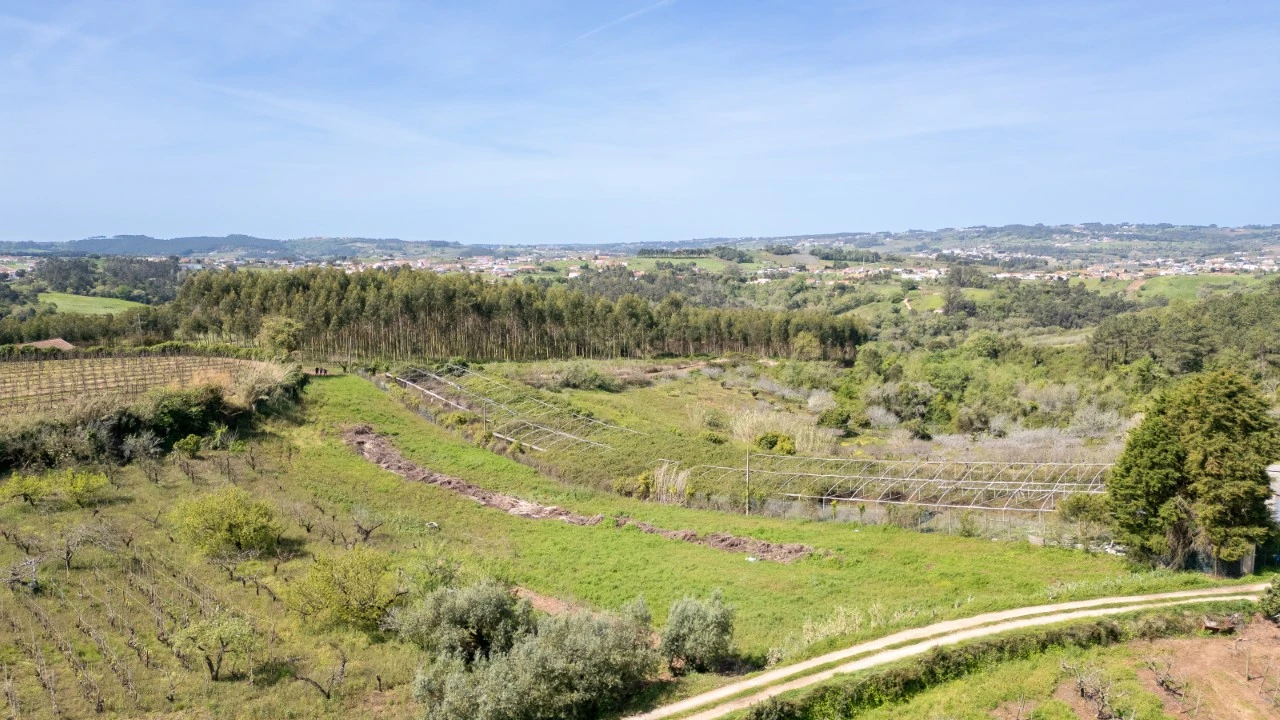 Terreno Agricola ou Rústico para Venda em Evora de Alcobaça Foto 4