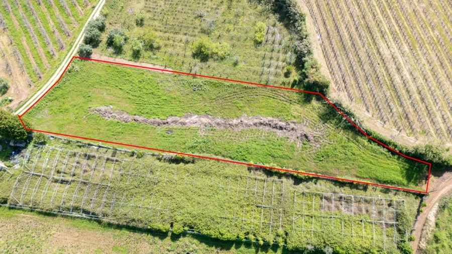 Terreno Agricola ou Rústico para Venda em Evora de Alcobaça