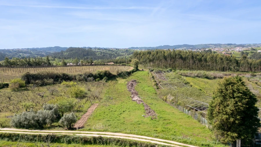 Terreno Agricola ou Rústico para Venda em Evora de Alcobaça Foto 3