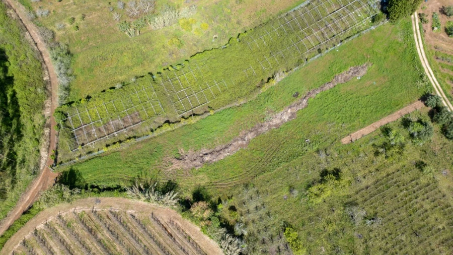 Terreno Agricola ou Rústico para Venda em Evora de Alcobaça Foto 9