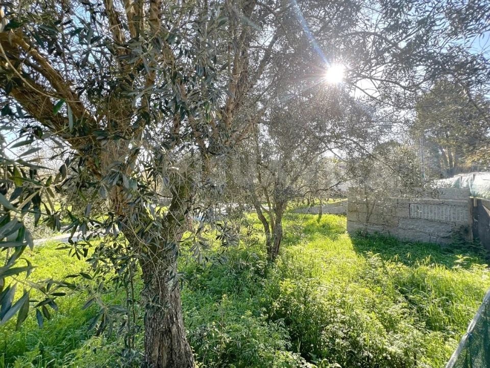 Moradia T3 para Venda em Vilar de Mouros Foto 29