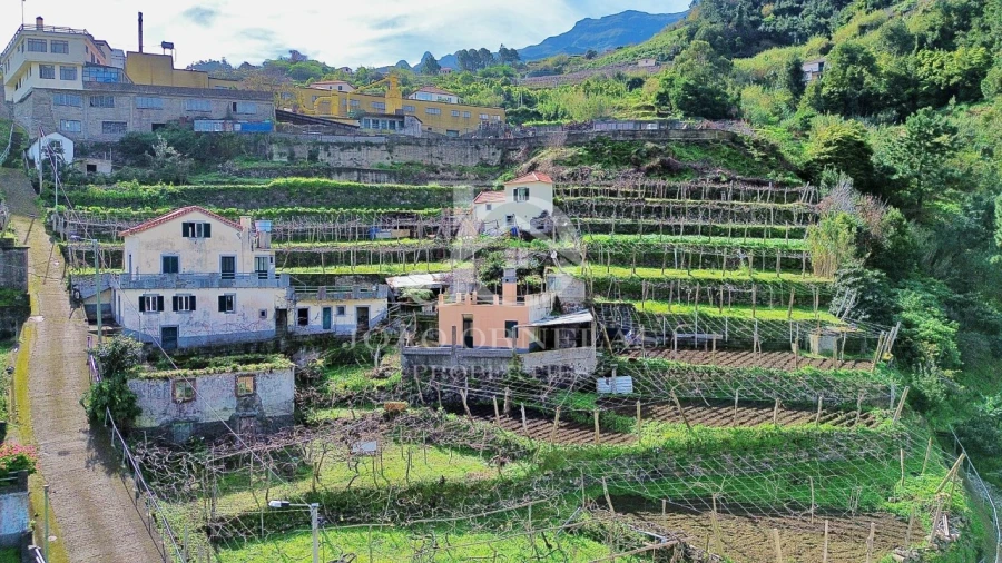 Moradia T2 para Venda em São Vicente Foto 7