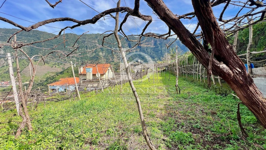 Moradia T2 para Venda em São Vicente Foto 47