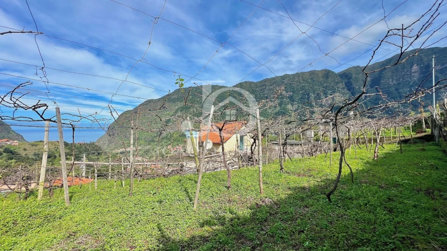 Moradia T2 para Venda em São Vicente Foto 48