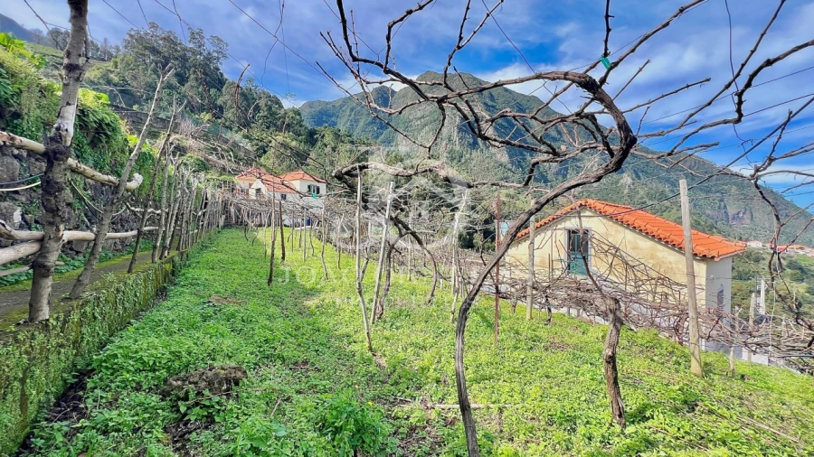 Moradia T2 para Venda em São Vicente Foto 49