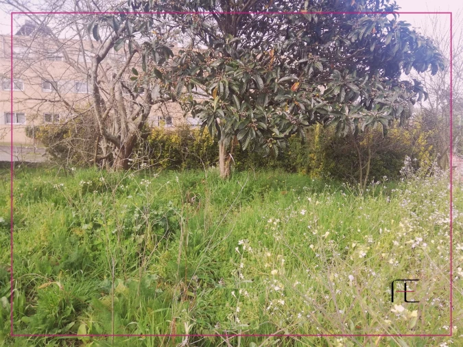 Terreno para Venda em Custóias, Leça do Balio e Guifões Foto 4