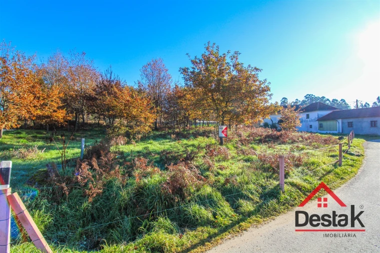 Terreno para Venda em Carvalhais e Candal Foto 3
