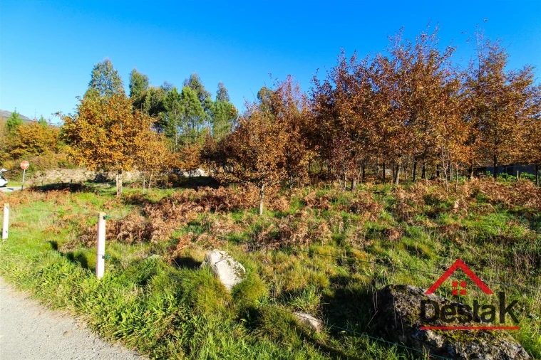 Terreno para Venda em Carvalhais e Candal Foto 5