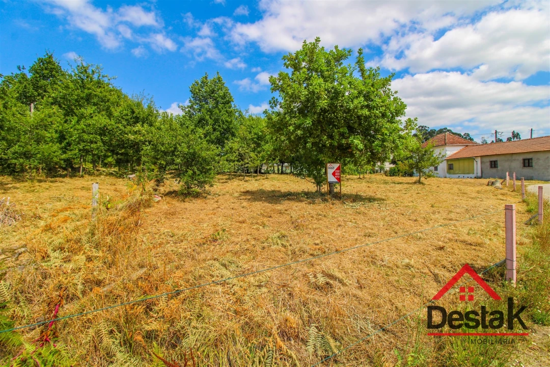 Terreno para Venda em Carvalhais e Candal Foto 8
