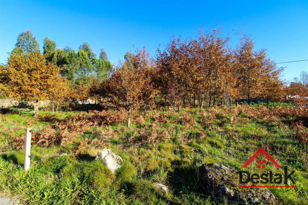 Terreno para Venda em Carvalhais e Candal Foto 4