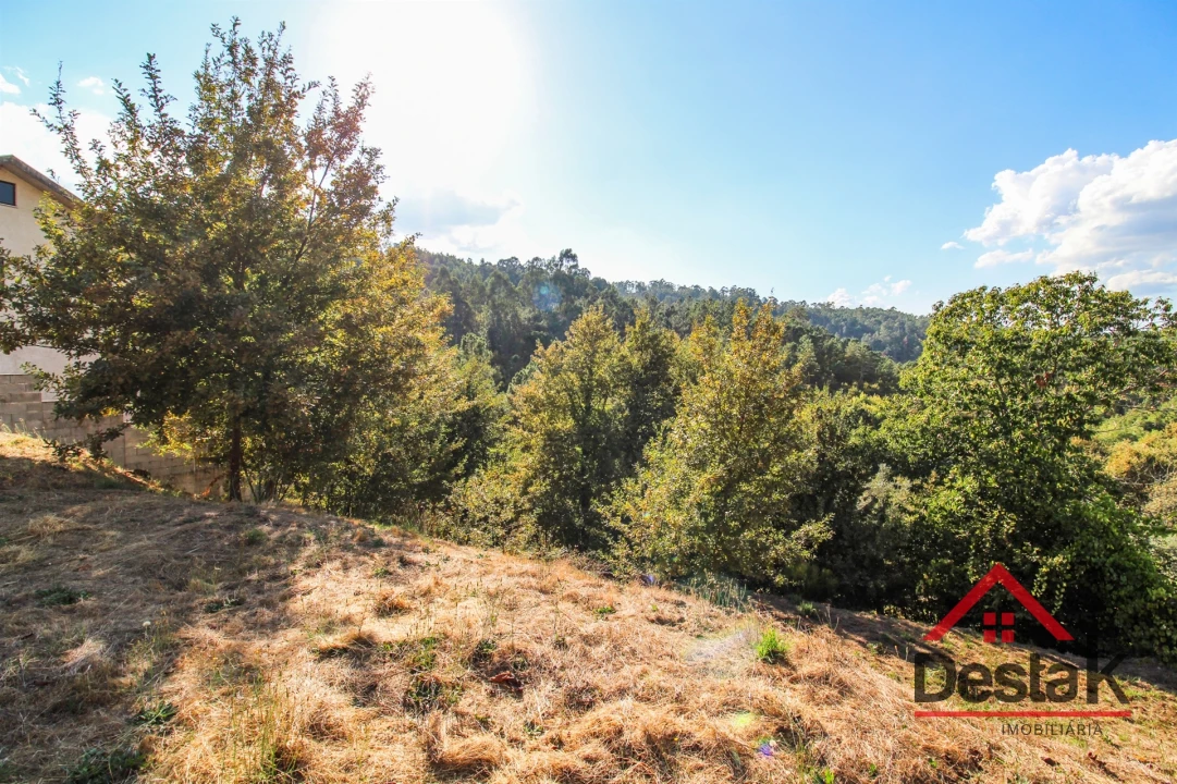 Terreno para Venda em São Pedro do Sul, Várzea e Baiões Foto 9