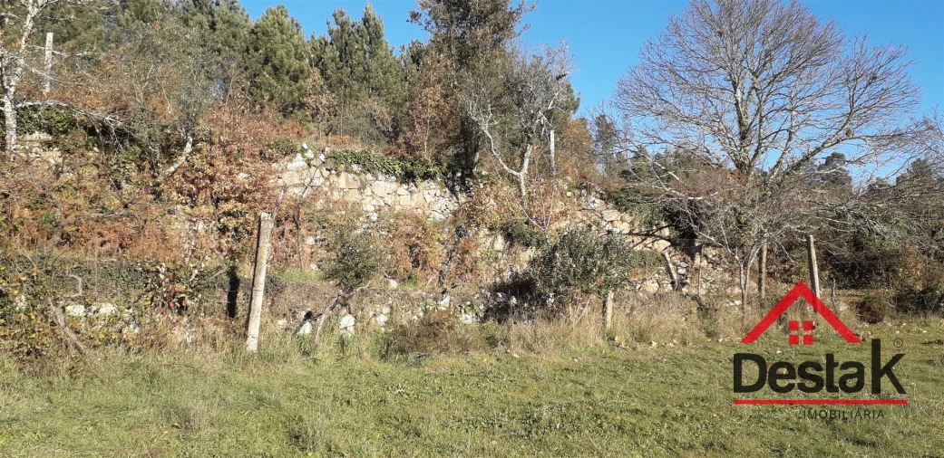 Quinta T0 para Venda em Pinho Foto 6