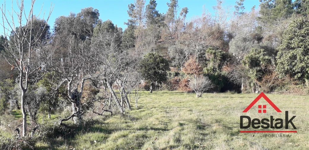 Quinta T0 para Venda em Pinho Foto 3