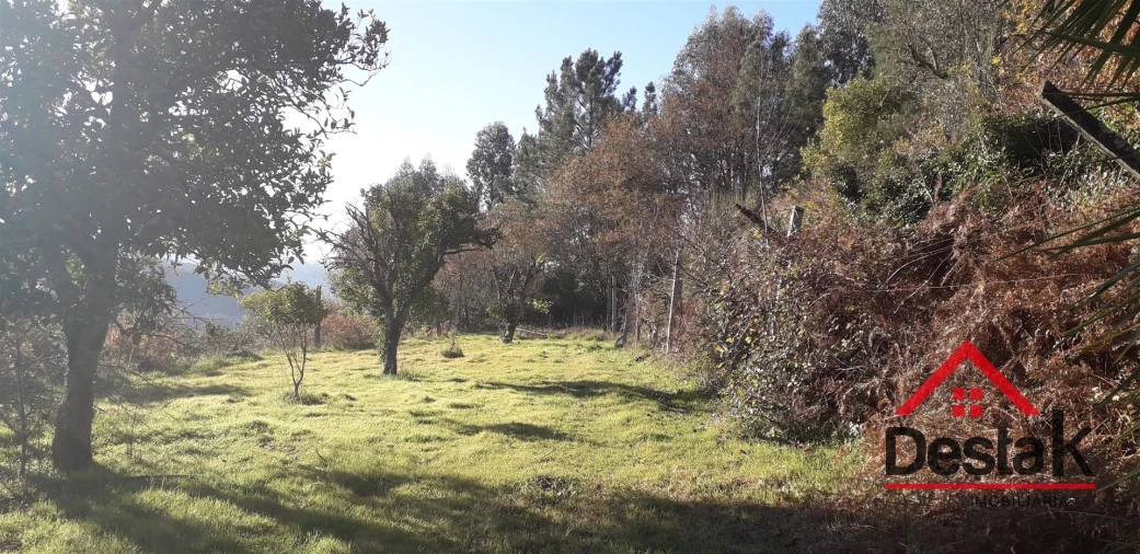 Quinta T0 para Venda em Pinho Foto 5