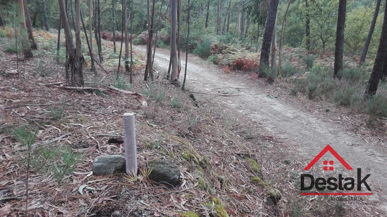 Terreno para Venda em São Miguel do Mato Foto 9