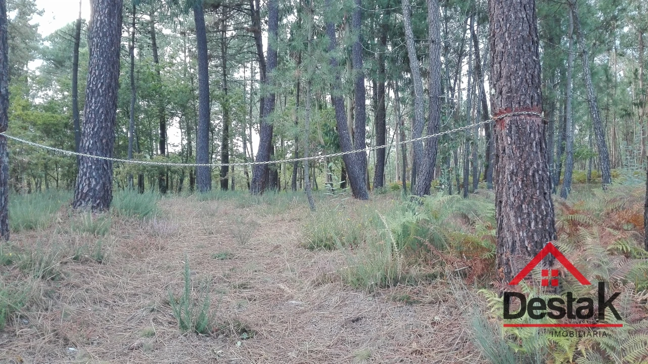 Terreno para Venda em São Miguel do Mato Foto 3