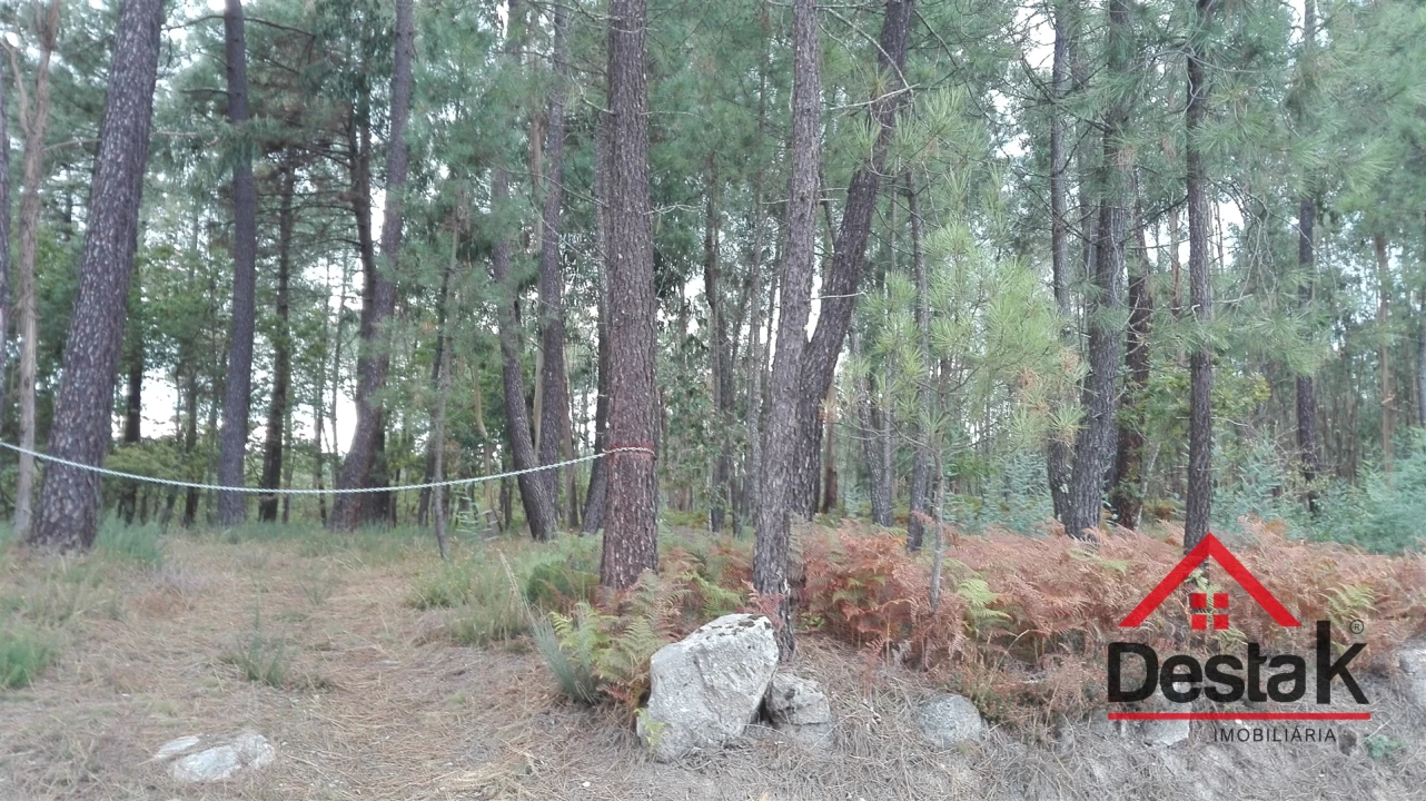 Terreno para Venda em São Miguel do Mato Foto 13