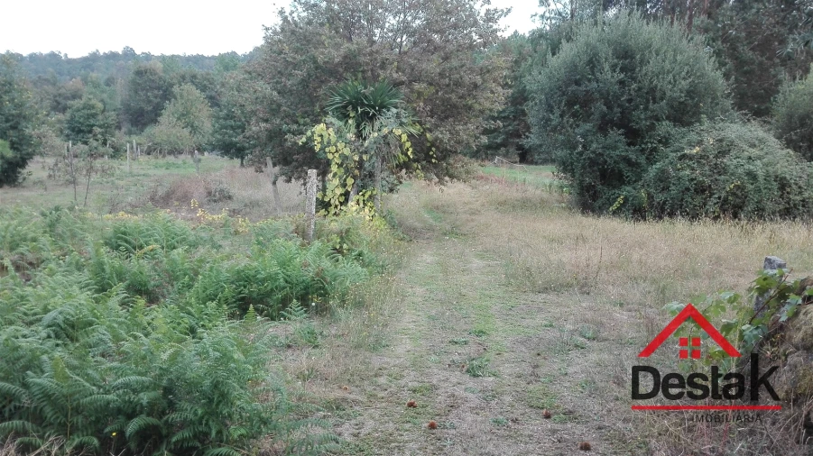 Terreno para Venda em São Miguel do Mato Foto 2
