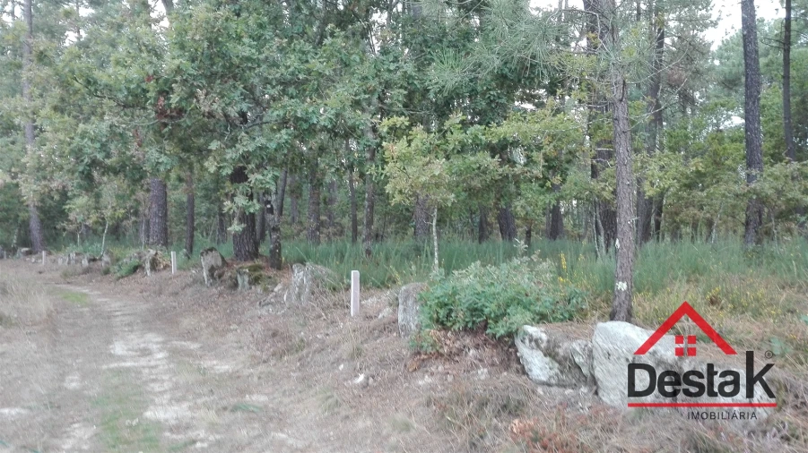 Terreno para Venda em São Miguel do Mato Foto 15
