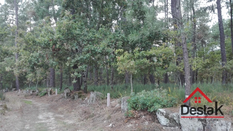 Terreno para Venda em São Miguel do Mato Foto 16