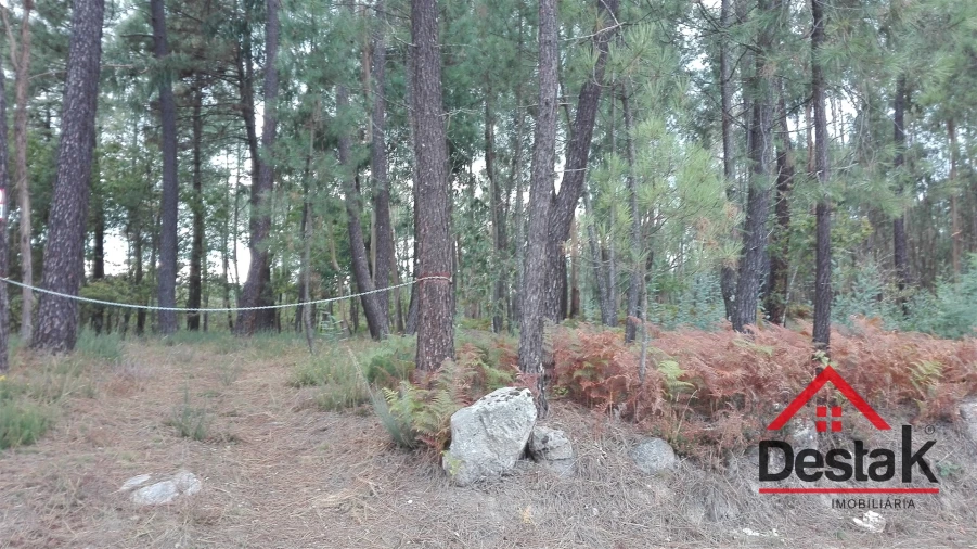 Terreno para Venda em São Miguel do Mato Foto 12