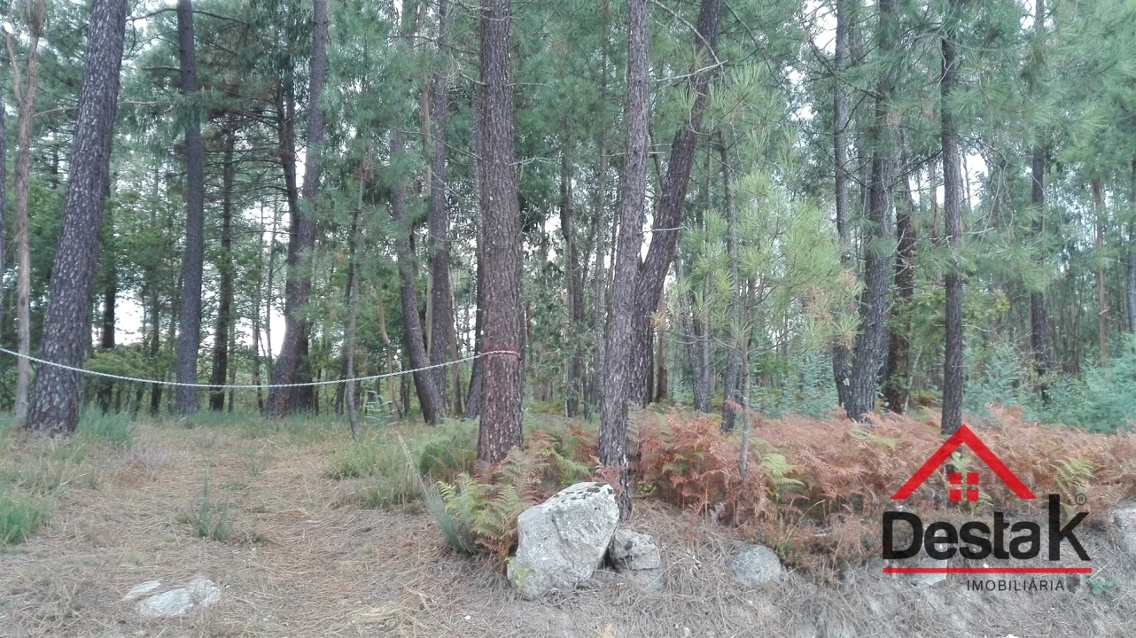 Terreno para Venda em São Miguel do Mato Foto 14